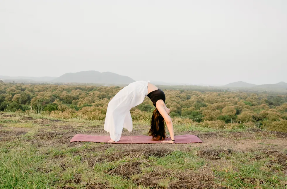 The Journey 3yjyjyujyu Yoga Can Transform Your Everyday Life