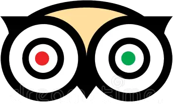 Tripadvisor